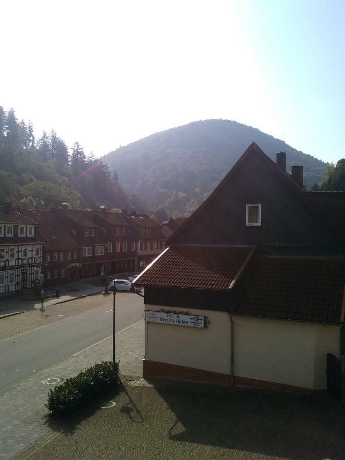 Hotel Bergschlosschen Zorge Dış mekan fotoğraf